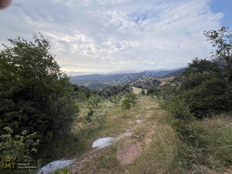 Mt Emlak'tan Satılık 13690 M² Tarla: Amasya'da Yatırım Fırsatı — fotoğraf 2