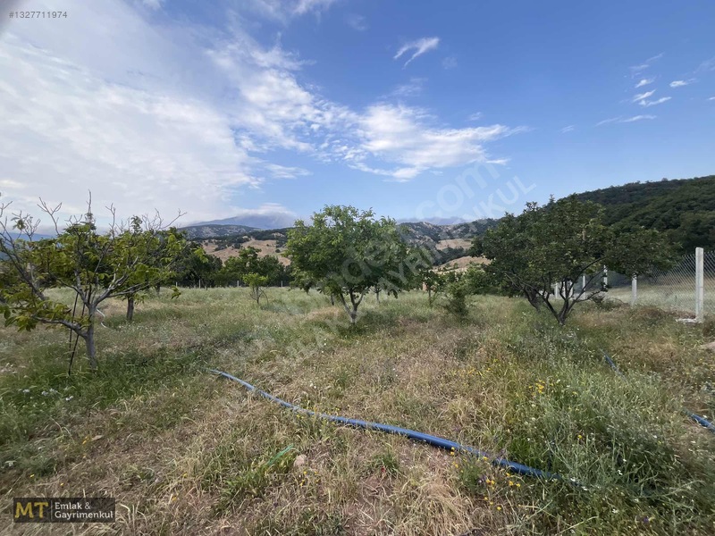 Mt Emlak'tan Satılık 13690 M² Tarla: Amasya'da Yatırım Fırsatı — fotoğraf 3