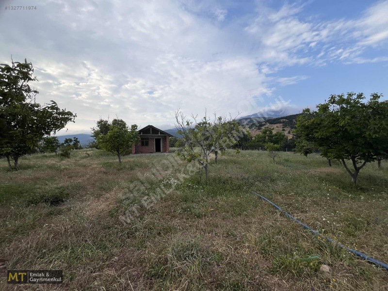 Mt Emlak'tan Satılık 13690 M² Tarla: Amasya'da Yatırım Fırsatı — fotoğraf 4