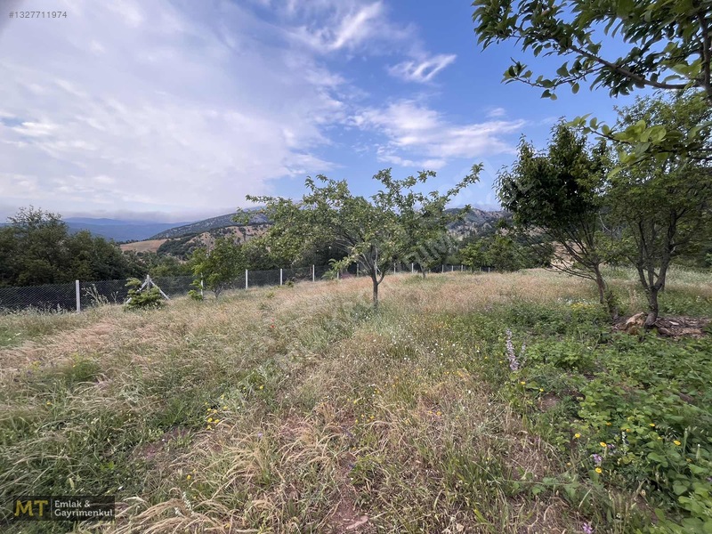 Mt Emlak'tan Satılık 13690 M² Tarla: Amasya'da Yatırım Fırsatı — fotoğraf 5