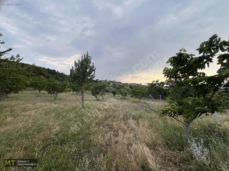 Mt Emlak'tan Satılık 13690 M² Tarla: Amasya'da Yatırım Fırsatı — fotoğraf 6