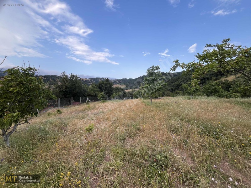 Mt Emlak'tan Satılık 13690 M² Tarla: Amasya'da Yatırım Fırsatı — fotoğraf 7