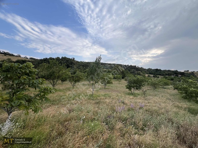 Mt Emlak'tan Satılık 13690 M² Tarla: Amasya'da Yatırım Fırsatı — fotoğraf 8