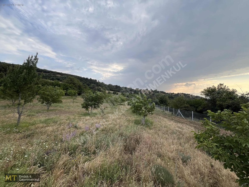 Mt Emlak'tan Satılık 13690 M² Tarla: Amasya'da Yatırım Fırsatı — fotoğraf 9