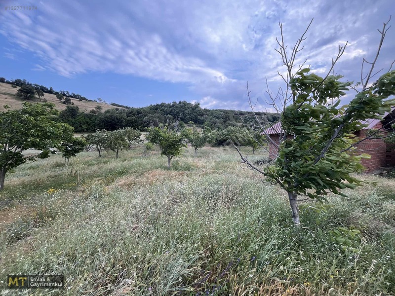 Mt Emlak'tan Satılık 13690 M² Tarla: Amasya'da Yatırım Fırsatı — fotoğraf 13