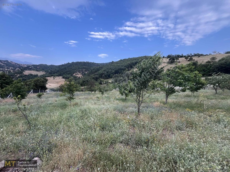 Mt Emlak'tan Satılık 13690 M² Tarla: Amasya'da Yatırım Fırsatı — fotoğraf 14