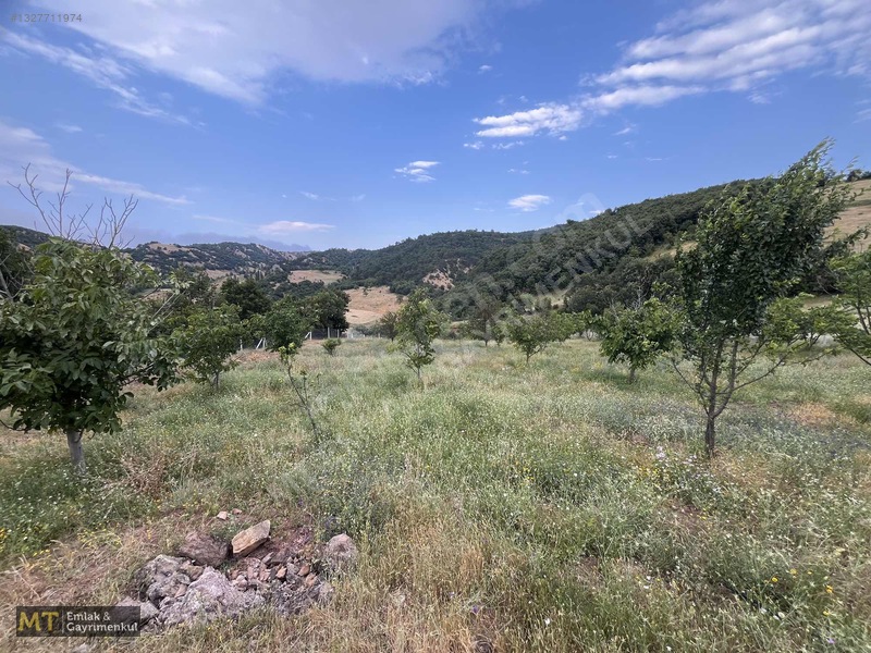 Mt Emlak'tan Satılık 13690 M² Tarla: Amasya'da Yatırım Fırsatı — fotoğraf 15