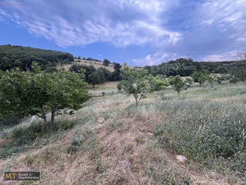 Mt Emlak'tan Satılık 13690 M² Tarla: Amasya'da Yatırım Fırsatı — fotoğraf 16