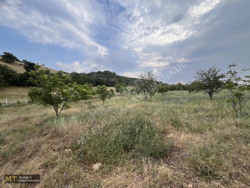 Mt Emlak'tan Satılık 13690 M² Tarla: Amasya'da Yatırım Fırsatı — fotoğraf 17