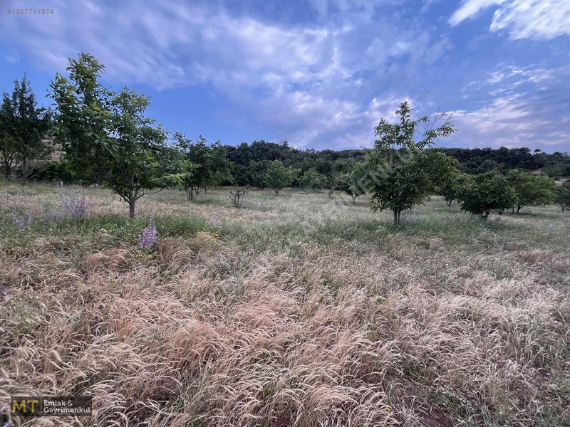 Mt Emlak'tan Satılık 13690 M² Tarla: Amasya'da Yatırım Fırsatı — fotoğraf 18