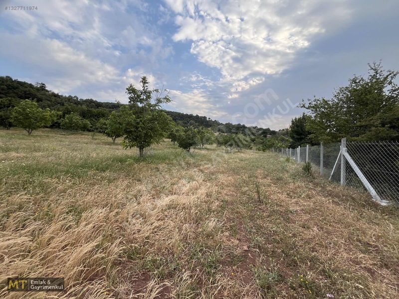 Mt Emlak'tan Satılık 13690 M² Tarla: Amasya'da Yatırım Fırsatı — fotoğraf 19