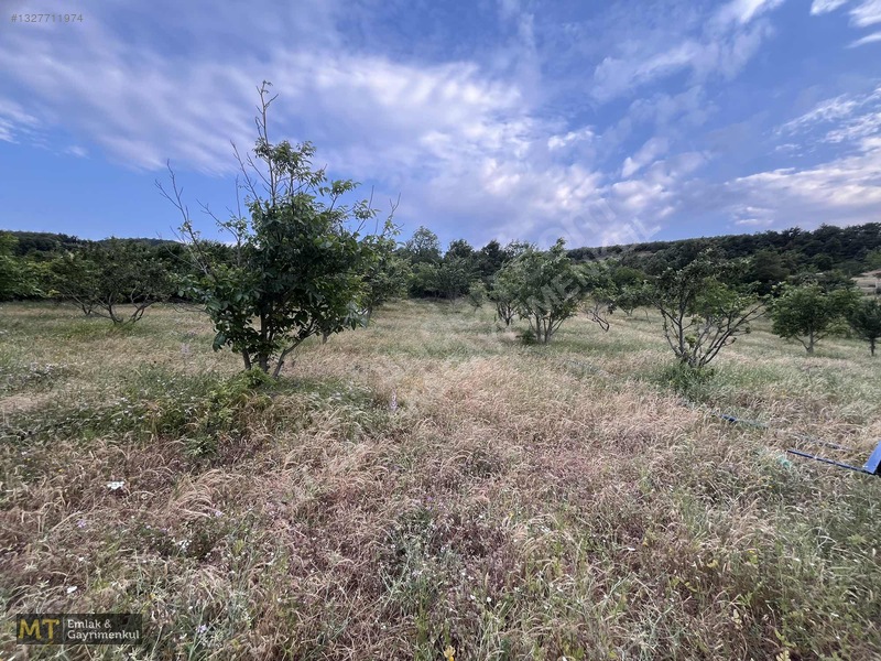 Mt Emlak'tan Satılık 13690 M² Tarla: Amasya'da Yatırım Fırsatı — fotoğraf 21