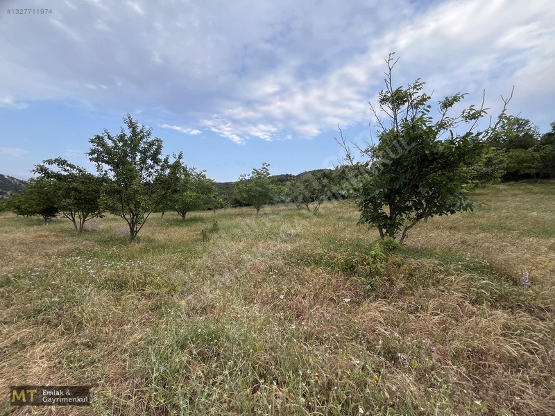 Mt Emlak'tan Satılık 13690 M² Tarla: Amasya'da Yatırım Fırsatı — fotoğraf 22