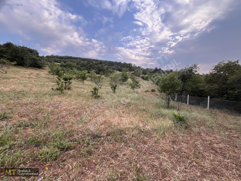 Mt Emlak'tan Satılık 13690 M² Tarla: Amasya'da Yatırım Fırsatı — fotoğraf 23