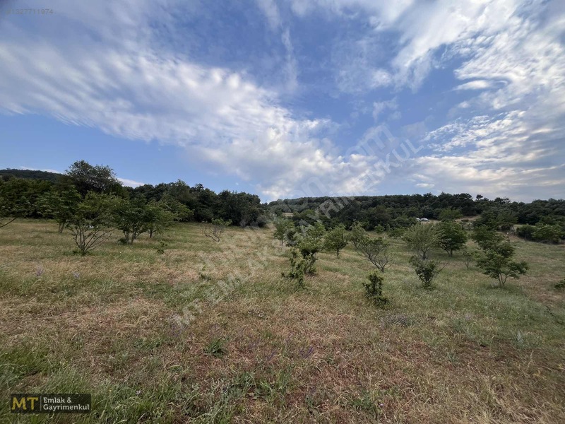 Mt Emlak'tan Satılık 13690 M² Tarla: Amasya'da Yatırım Fırsatı — fotoğraf 24