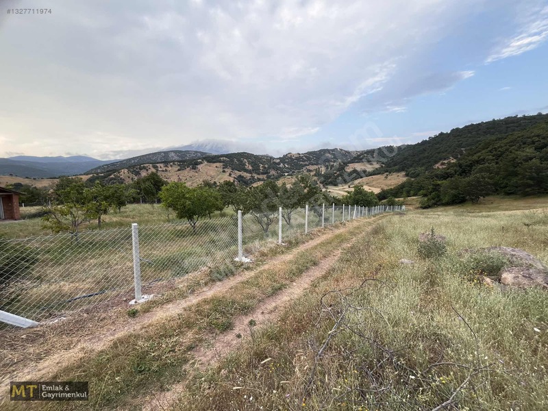 Mt Emlak'tan Satılık 13690 M² Tarla: Amasya'da Yatırım Fırsatı — fotoğraf 25