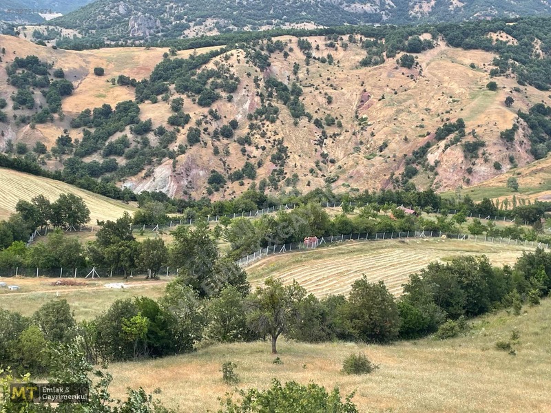 Mt Emlak'tan Satılık 13690 M² Tarla: Amasya'da Yatırım Fırsatı — fotoğraf 28