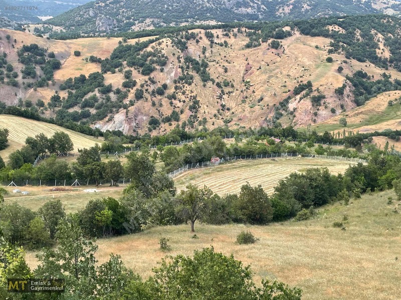 Mt Emlak'tan Satılık 13690 M² Tarla: Amasya'da Yatırım Fırsatı — fotoğraf 30