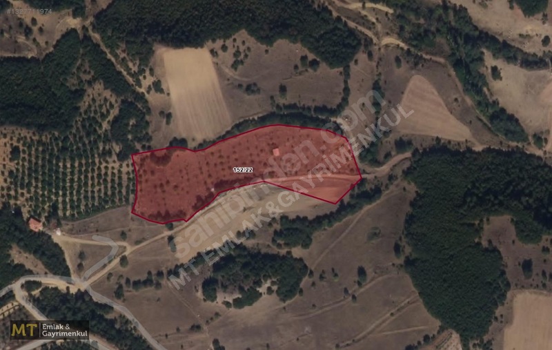 Mt Emlak'tan Satılık 13690 M² Tarla: Amasya'da Yatırım Fırsatı — fotoğraf 33