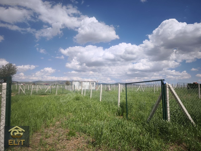 Akyurt Çardak Bagı Köyünde 200 Metre Hobi Bahçesi( Son 3 Adet) — fotoğraf 15