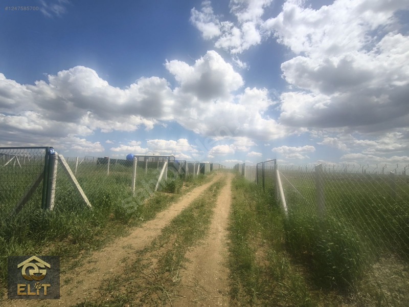 Akyurt Çardak Bagı Köyünde 200 Metre Hobi Bahçesi( Son 3 Adet) — fotoğraf 17