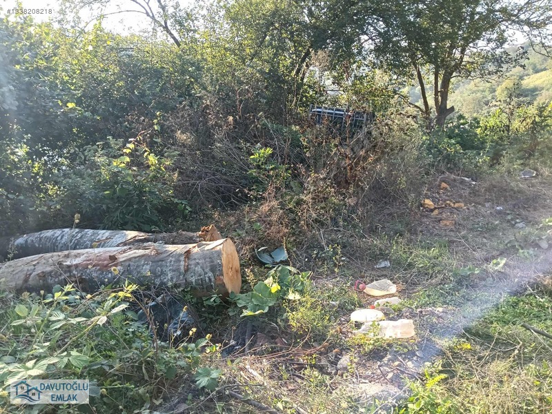 Davutoğlu Emlaktan. 3.177m2 Köy İçi Satılık Arsa Fındıklık — fotoğraf 6