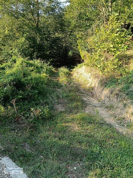 Davutoğlu Emlaktan. 3.177m2 Köy İçi Satılık Arsa Fındıklık — fotoğraf 10