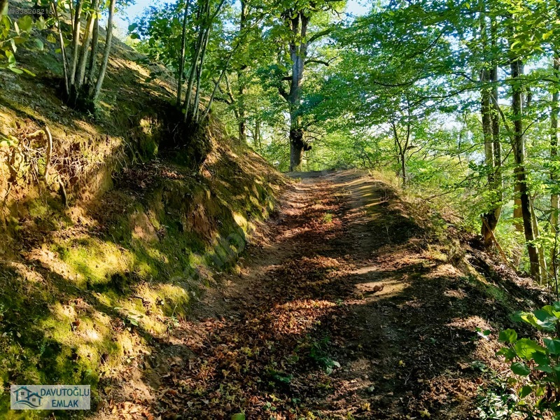 Davutoğlu Emlaktan. 3.177m2 Köy İçi Satılık Arsa Fındıklık — fotoğraf 11