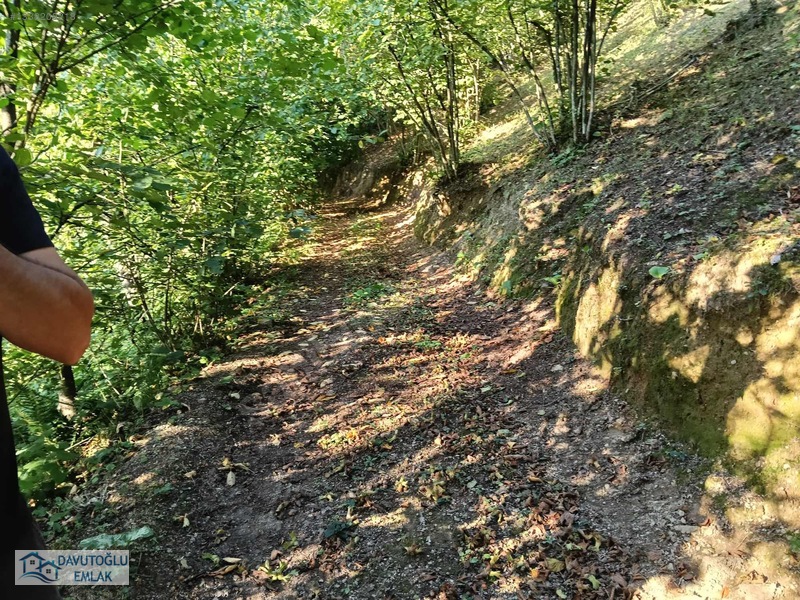 Davutoğlu Emlaktan. 3.177m2 Köy İçi Satılık Arsa Fındıklık — fotoğraf 14