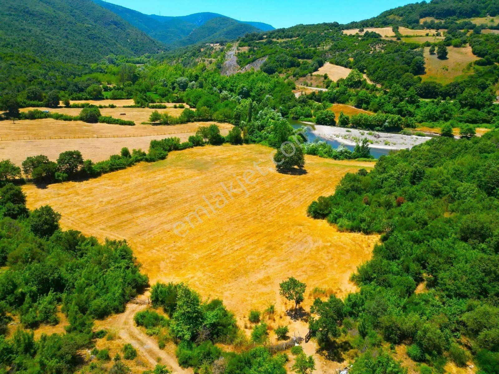 |gönen| Çaya Cephe Projelik Yatırıma Uygun Arazi! — fotoğraf 7