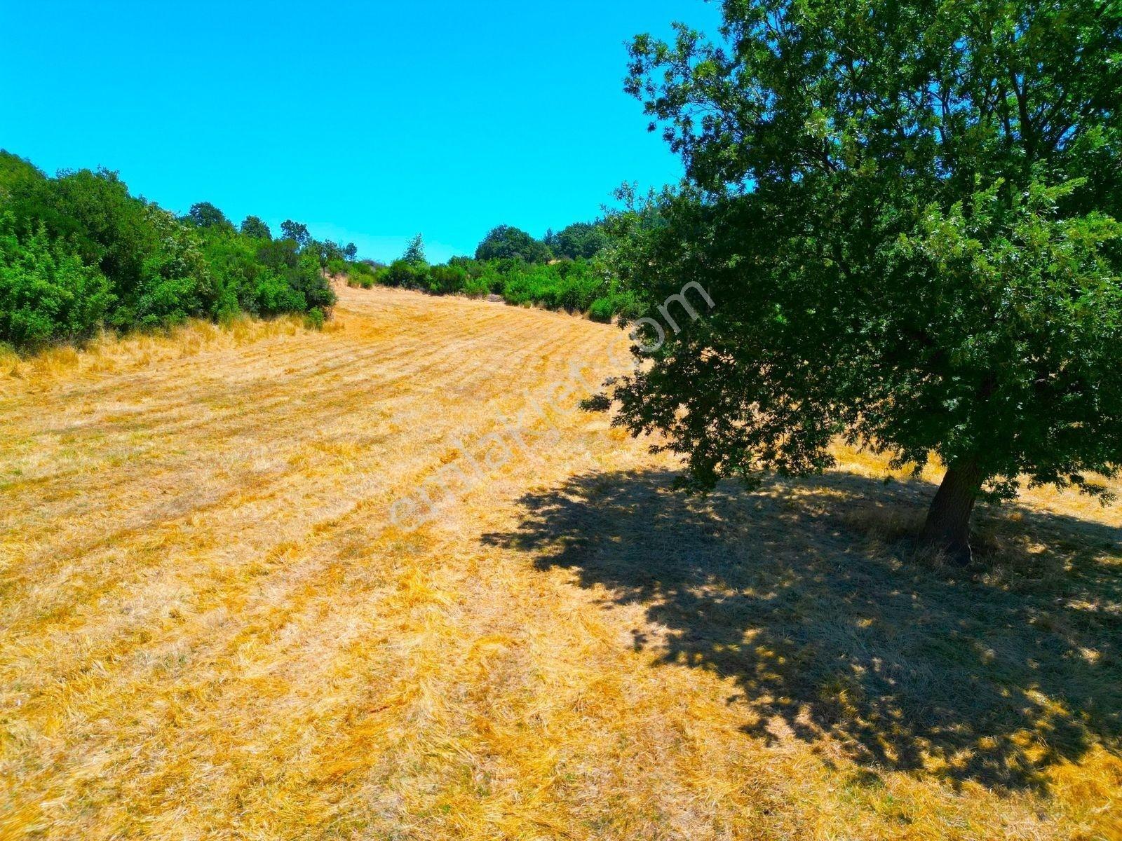 |gönen| Çaya Cephe Projelik Yatırıma Uygun Arazi! — fotoğraf 24