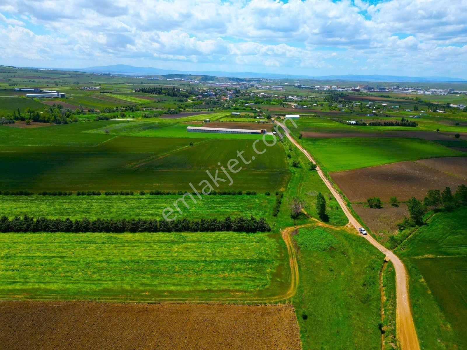 |bandırma| Merkeze 5 Dakika Yatırıma Ve Tarıma Uygun Arazi! — fotoğraf 8
