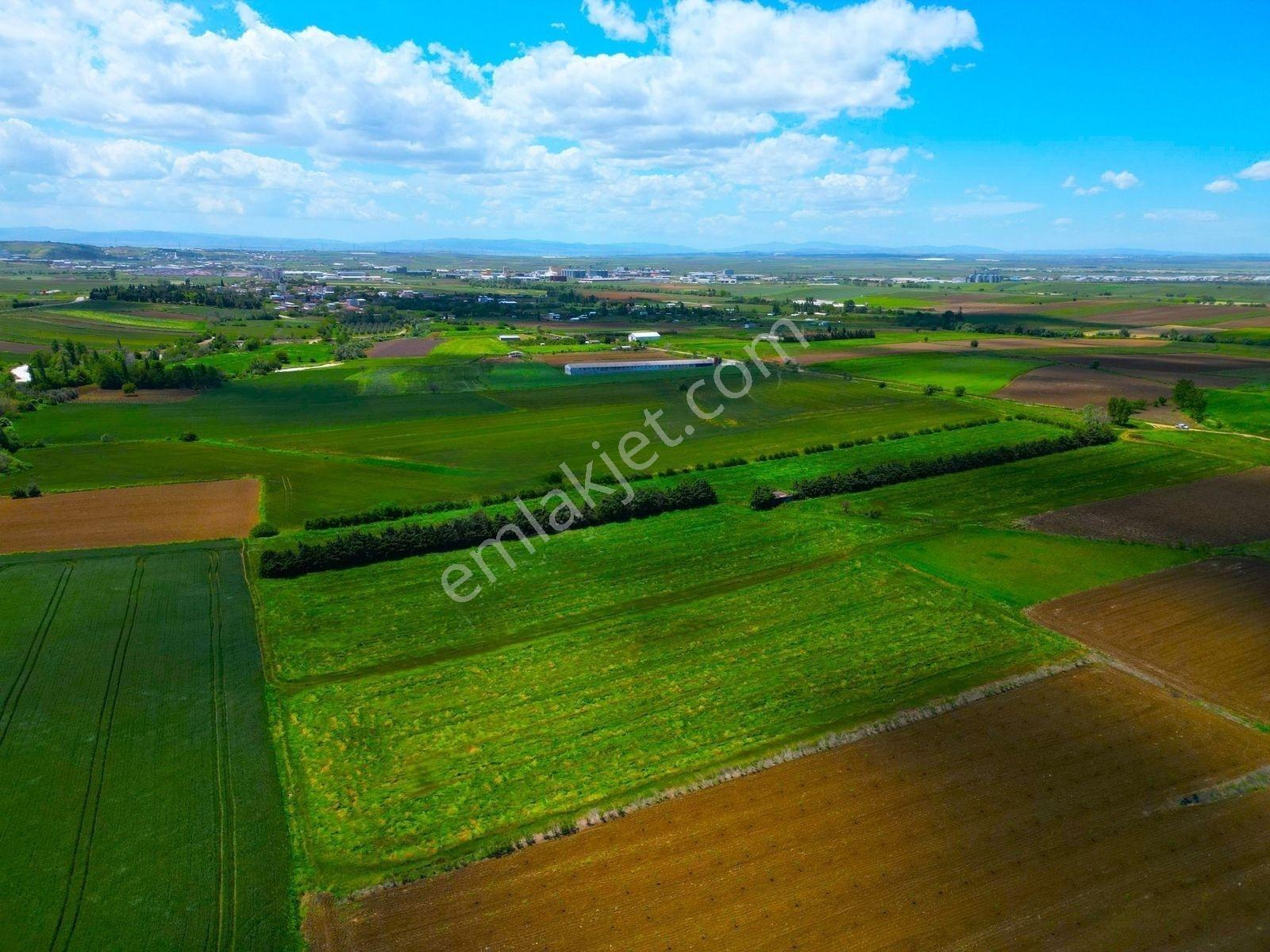 |bandırma| Merkeze 5 Dakika Yatırıma Ve Tarıma Uygun Arazi! — fotoğraf 9