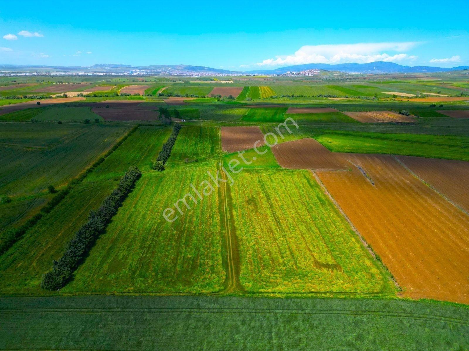|bandırma| Merkeze 5 Dakika Yatırıma Ve Tarıma Uygun Arazi! — fotoğraf 12