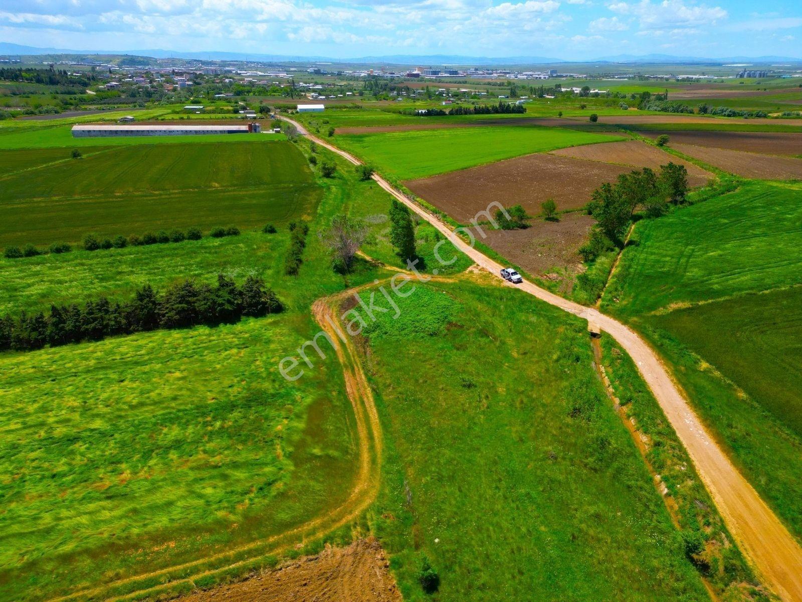 |bandırma| Merkeze 5 Dakika Yatırıma Ve Tarıma Uygun Arazi! — fotoğraf 17
