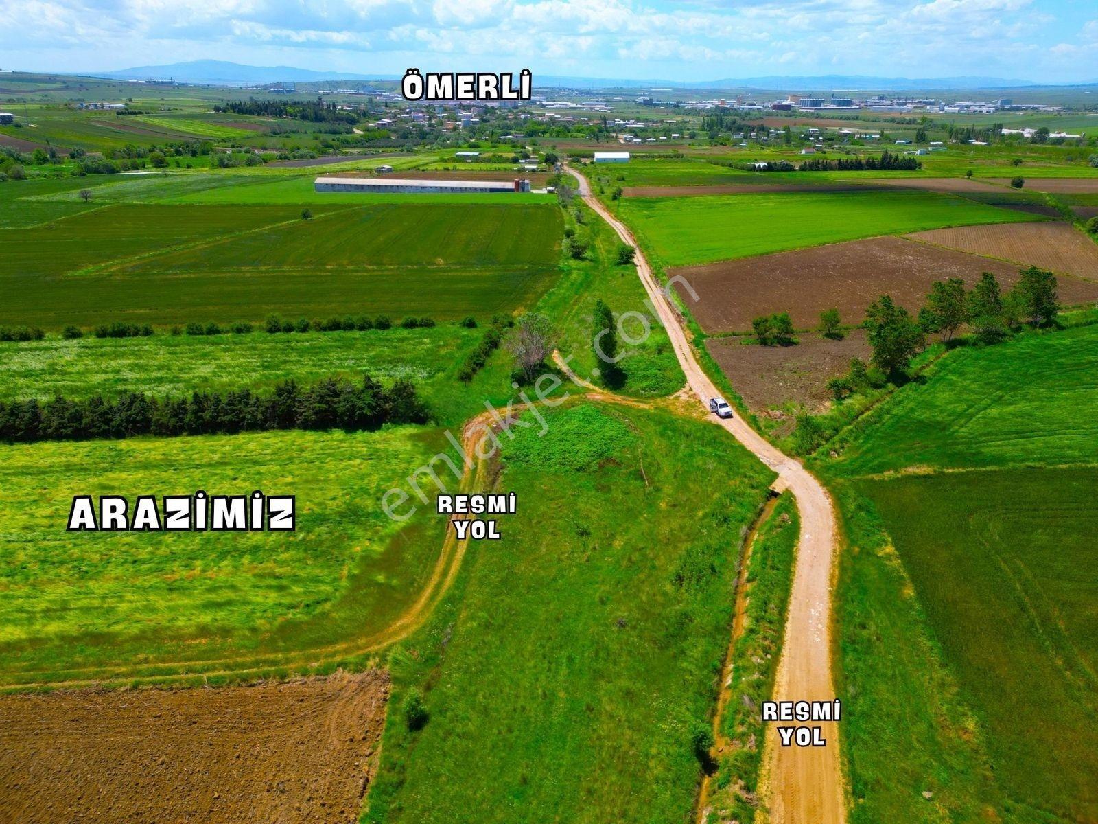 |bandırma| Merkeze 5 Dakika Yatırıma Ve Tarıma Uygun Arazi! — fotoğraf 18