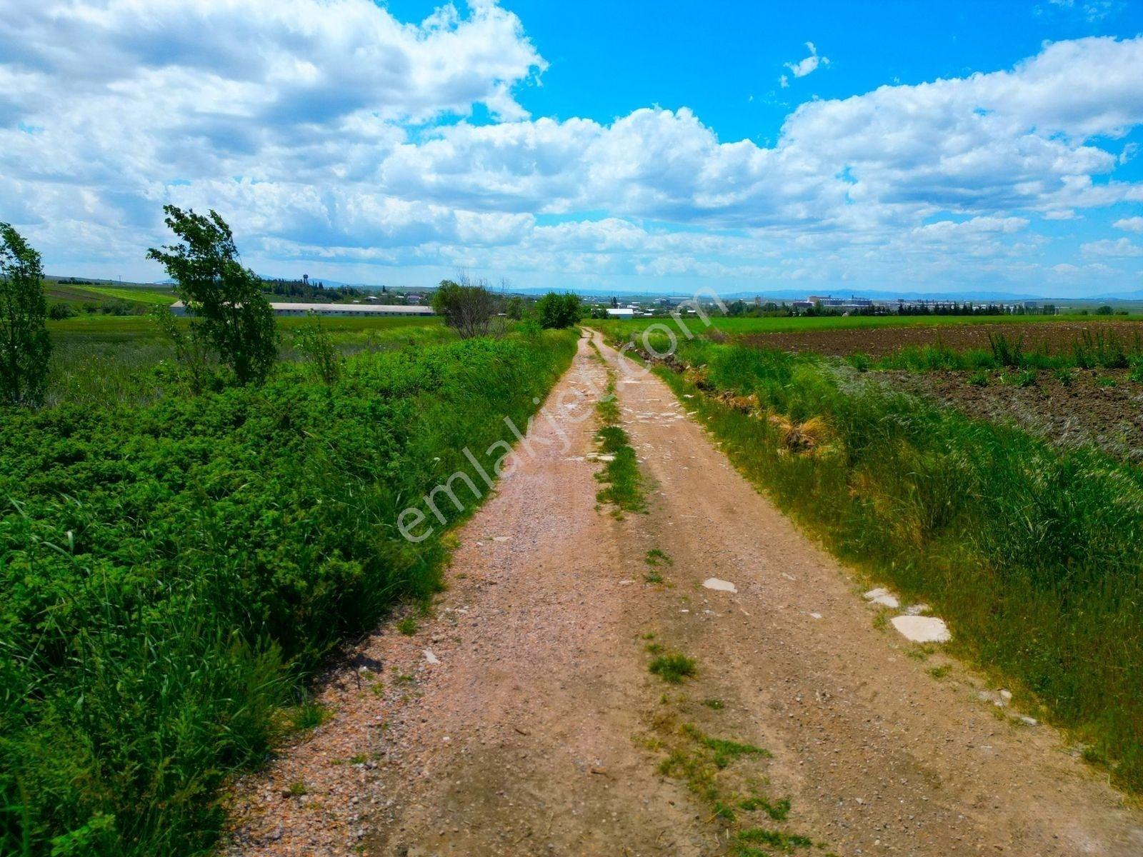 |bandırma| Merkeze 5 Dakika Yatırıma Ve Tarıma Uygun Arazi! — fotoğraf 19