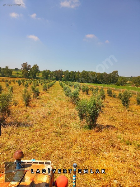 Karaisalı Girişinde, Yola 2. Parsel 16 Dönüm Satılık Arsa — fotoğraf 2