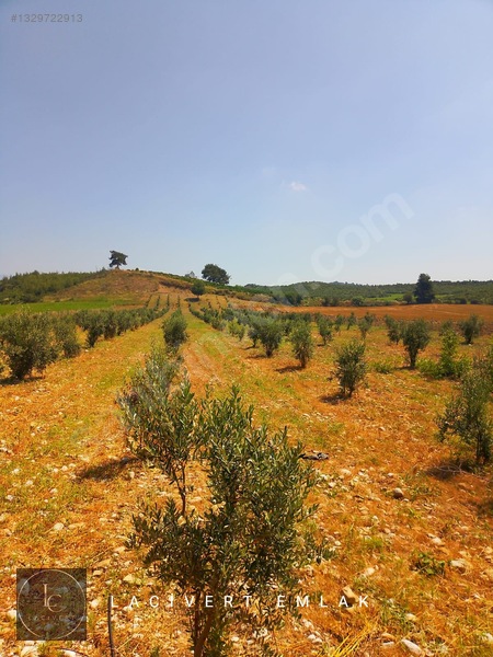 Karaisalı Girişinde, Yola 2. Parsel 16 Dönüm Satılık Arsa — fotoğraf 3