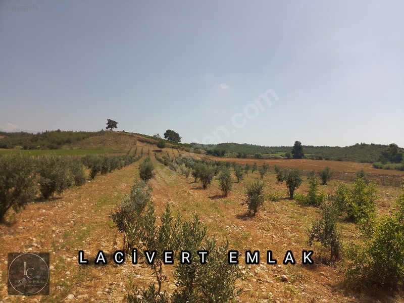 Karaisalı Girişinde, Yola 2. Parsel 16 Dönüm Satılık Arsa — fotoğraf 4