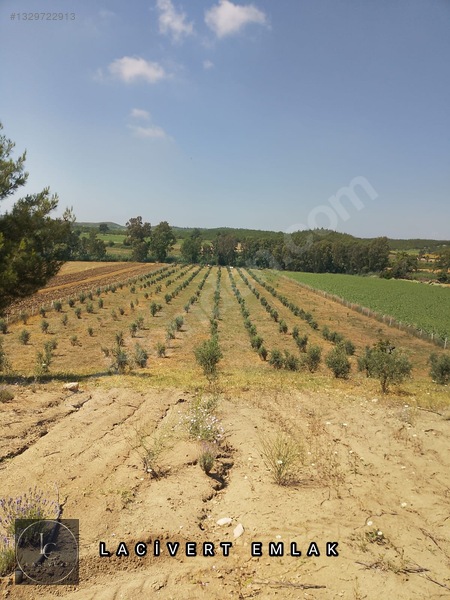 Karaisalı Girişinde, Yola 2. Parsel 16 Dönüm Satılık Arsa — fotoğraf 5