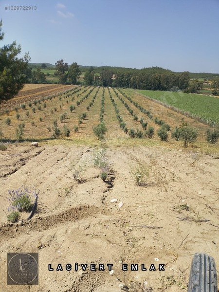Karaisalı Girişinde, Yola 2. Parsel 16 Dönüm Satılık Arsa — fotoğraf 6