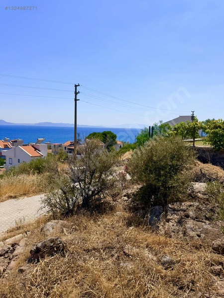 Dikili Çandarlı Eyko Da Plaja 200m Mesafede Arsa — fotoğraf 4