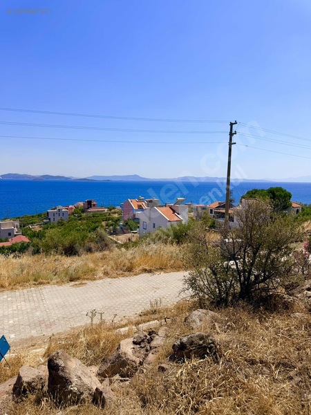 Dikili Çandarlı Eyko Da Plaja 200m Mesafede Arsa — fotoğraf 5