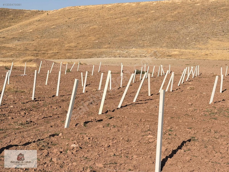 İmalatçısından 210m2 Hobi Bahçesi | Süper Köy Manzaralı Bahçe — fotoğraf 3