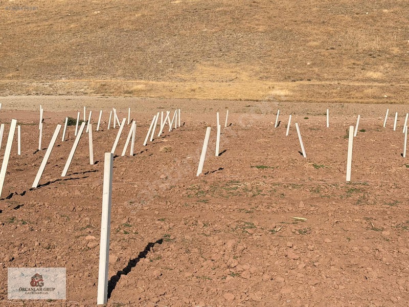 İmalatçısından 210m2 Hobi Bahçesi | Süper Köy Manzaralı Bahçe — fotoğraf 4