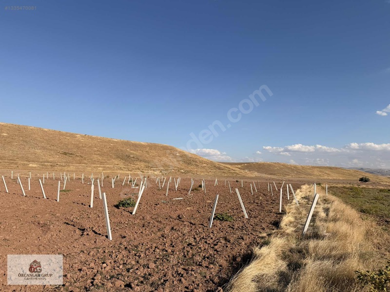 İmalatçısından 210m2 Hobi Bahçesi | Süper Köy Manzaralı Bahçe — fotoğraf 26