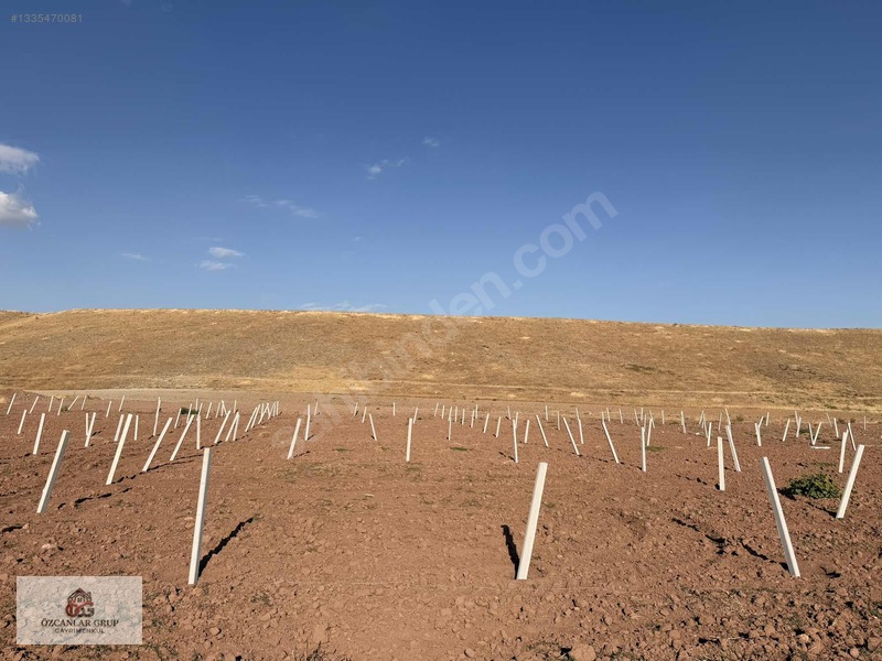 İmalatçısından 210m2 Hobi Bahçesi | Süper Köy Manzaralı Bahçe — fotoğraf 28