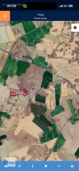 Mavira'Dan Alacaşarda İbişin Ağılı Mevki Satılık 3720 M2 Tarla