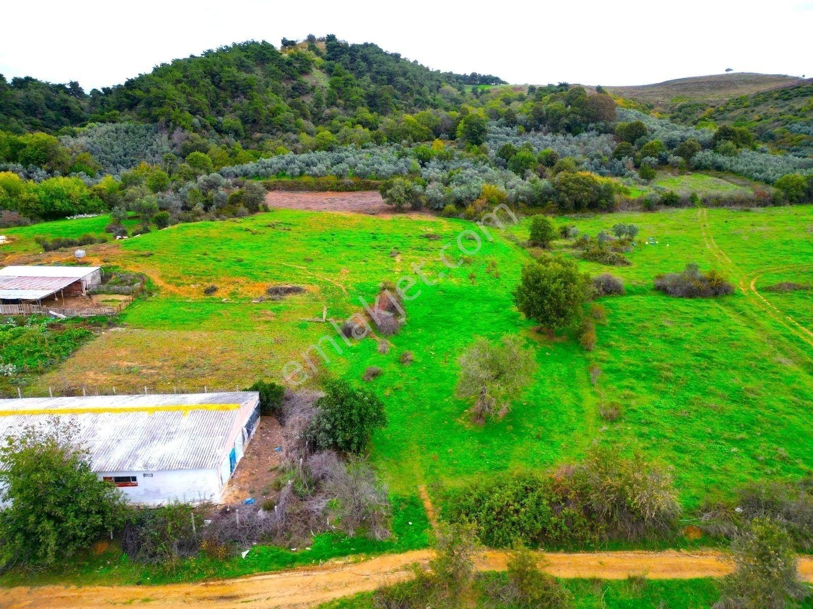 |Erdek| Kapıdağ'In Doğasıyla İç İçe Yol Su Elektrik Hazır Arazi! — fotoğraf 7